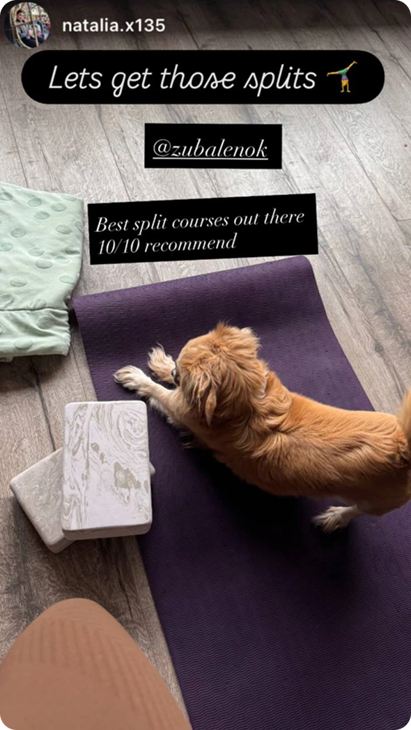 Review 19